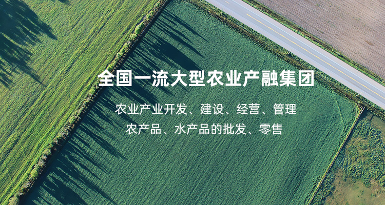 NG官网 - 相信品牌的力量