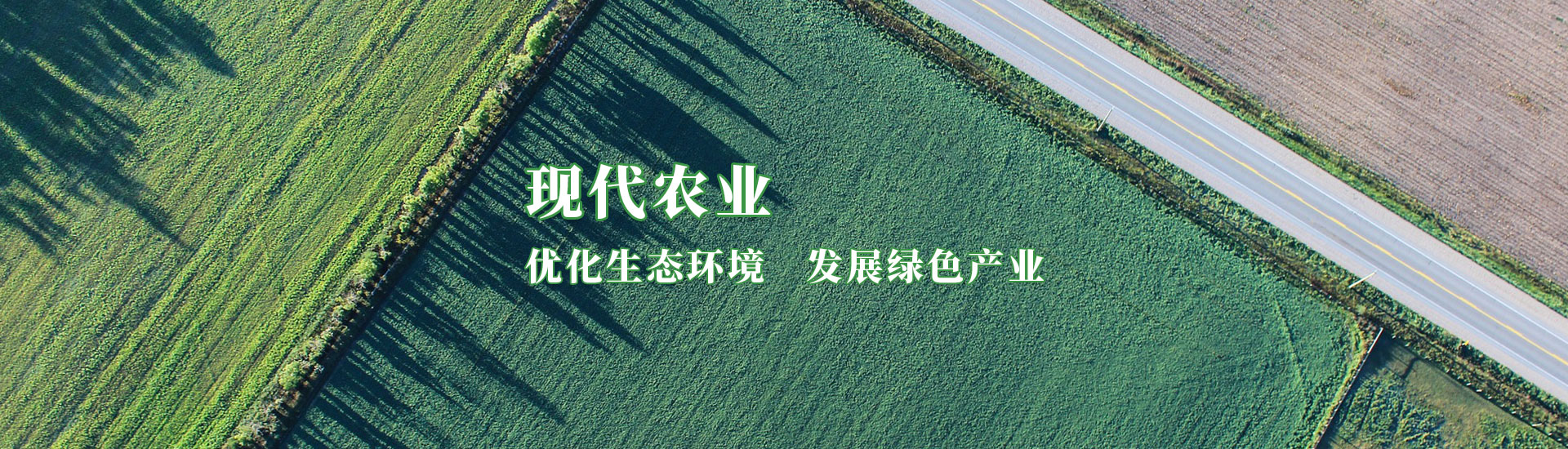 NG官网 - 相信品牌的力量