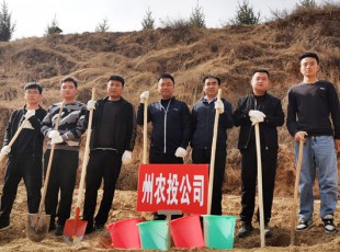 NG官网参与2021年春季使命植树活动