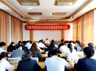 NG官网  召开党史进建教育专题领导